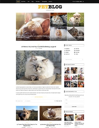 Soledad Pet Blog